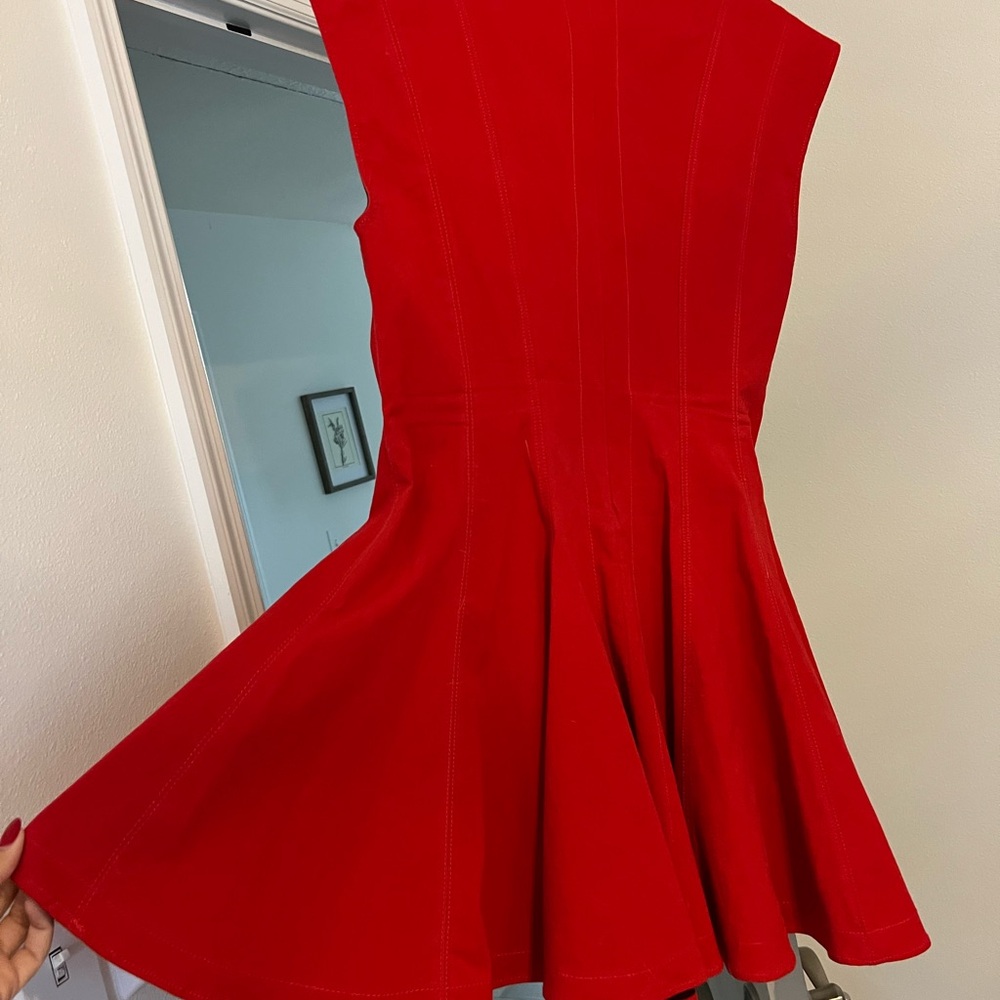 Zara Vibrant Red Mini Dress - Picture 5 of 5